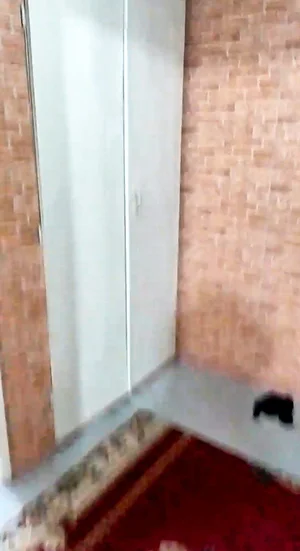 Фото 5 Квартира в Алгоритм.Гулистон