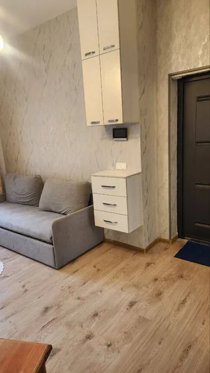 Фото 1 1-комн. квартира в ЖК Манзара