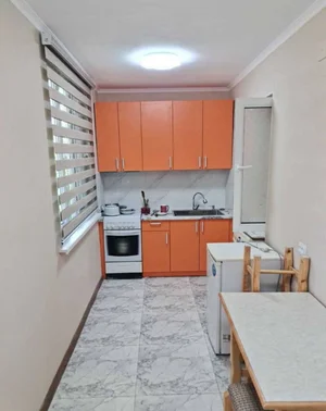 Фото 5 1-комн. квартира в Академгородке