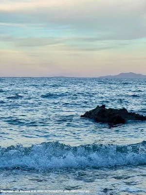 Фото 1 Не указано