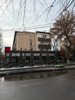 Фото 5 Коммерция в Мирзо-Улугбекском районе