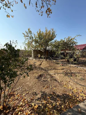 Фото 2 Дача в Уртасарае