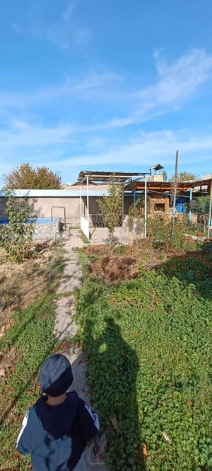 Фото 2 Дача в Паркенте