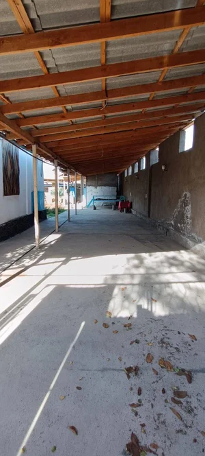 Фото 3 Дача в Паркенте