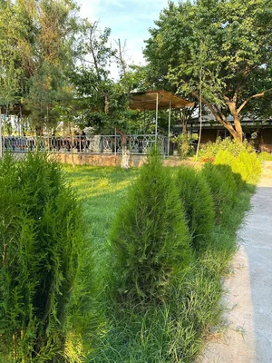 Фото 2 Загородный дом в Уртасарае