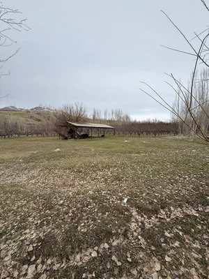 Фото 1 Земельный участок в Кумышкане