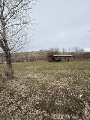 Фото 2 Земельный участок в Кумышкане