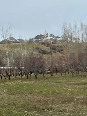 Фото 3 Земельный участок в Кумышкане