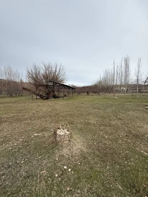 Фото 4 Земельный участок в Кумышкане