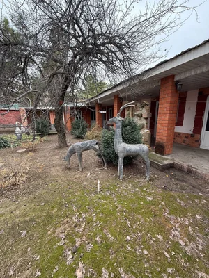 Фото 1 Дом в Парке́нтском районе