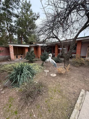 Фото 7 Дом в Парке́нтском районе