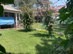 Фото 2 Дача в Паркентском районе