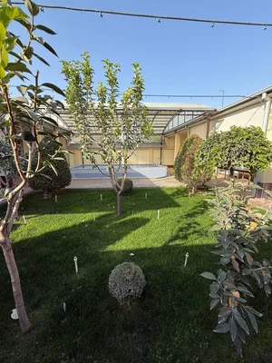 Фото 6 Дача в Паркентском районе