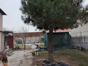 Фото 2 Участок в Яшнабадском районе