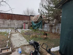 Фото 3 Участок в Яшнабадском районе