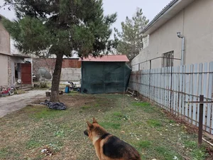 Фото 4 Участок в Яшнабадском районе