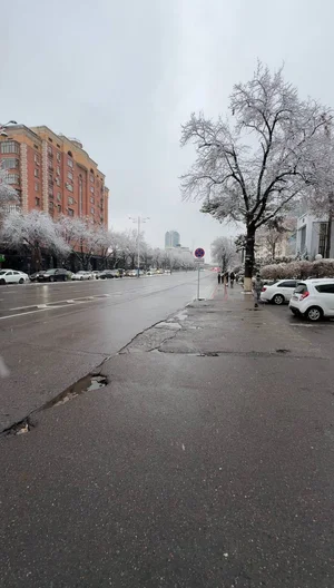 Фото 10 Не указано