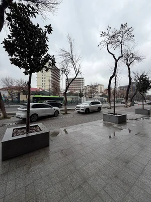 Фото 2 Коммерческое помещение в Shoshkent