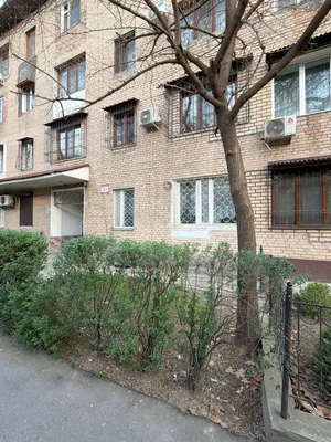 Фото 4 Офис в Мирзо-Улугбекском районе