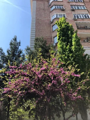 Фото 2 Коммерческое помещение в Не указано