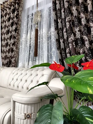 Фото 4 2-комн. квартира в Bektemir Vodnik