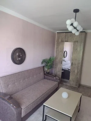 Фото 2 1-комн. квартира в Массив "Академгородок"