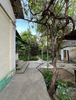 Фото 3 Участок в Мирзо-Улугбекском районе