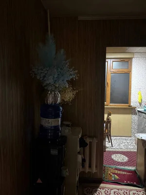 Фото 6 1-комн. квартира в Спутник-15