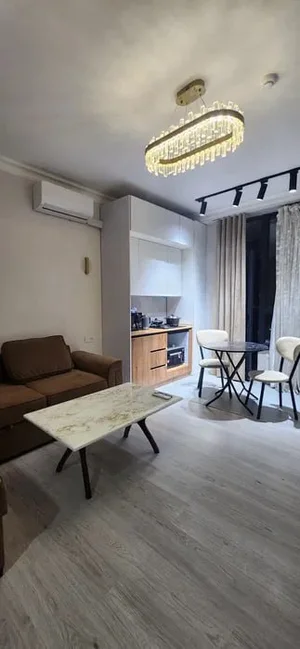 Фото 3 1-комн. квартира в ЖК PRESTIGE GARDENS