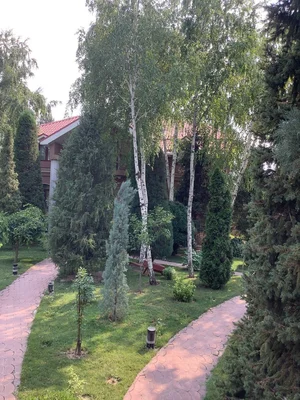 Фото 2 Дом в Юкоричирчикском районе