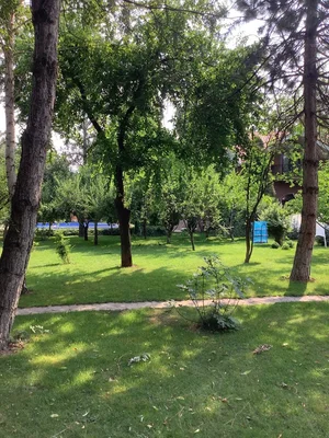 Фото 10 Дом в Юкоричирчикском районе