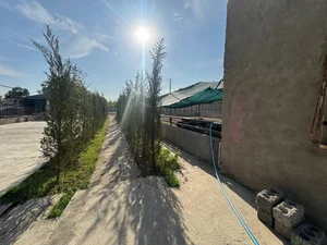 Фото 1 Дом в Юкори Чирчикском районе