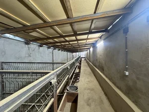 Фото 5 Дом в Юкори Чирчикском районе