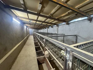 Фото 6 Дом в Юкори Чирчикском районе