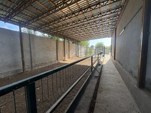 Фото 7 Дом в Юкори Чирчикском районе