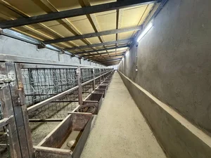 Фото 8 Дом в Юкори Чирчикском районе