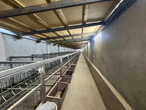 Фото 9 Дом в Юкори Чирчикском районе