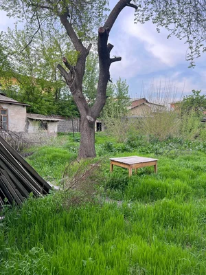 Фото 1 Участок в Мирзо-Улугбекском районе