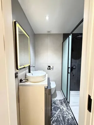 Фото 9 2-комн. квартира в ЖК Vegas Tower