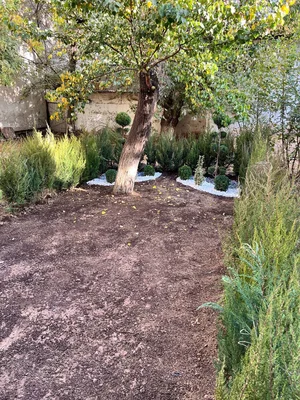 Фото 10 1-комн. квартира в Юнусабад 2