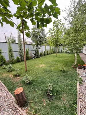 Фото 4 Дом в Паркентский базар