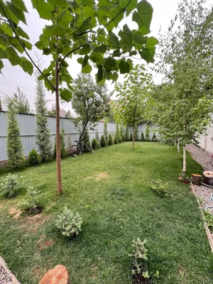 Фото 1 Дом в Яшнабадском районе