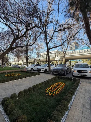 Фото 4 Нежилое помещение в Юнус-абадском районе