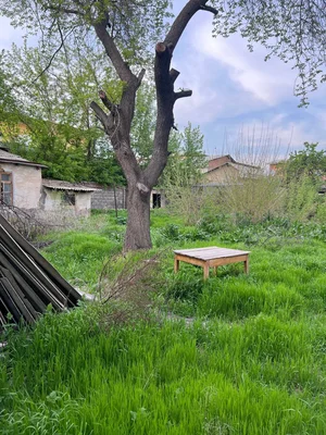 Фото 1 Участок в Мирзо-Улугбекском районе