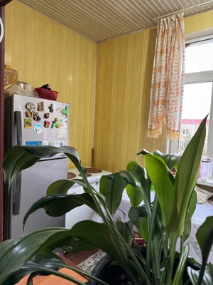 Фото 7 2-комн. квартира в ТТЗ-4