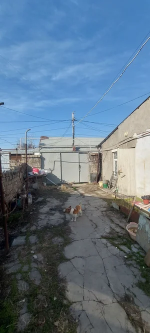 Фото 1 Дом в Сергели