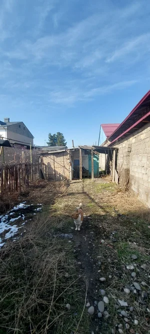 Фото 5 Дом в Сергели