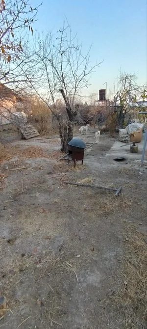 Фото 9 Участок в Бектемирском районе