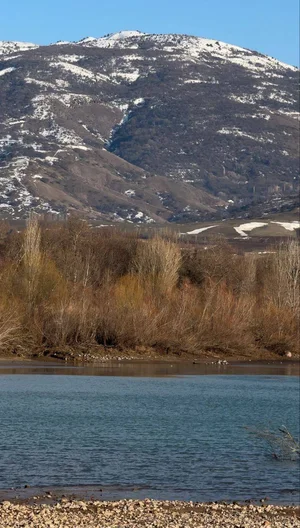 Фото 1 Участок в Бостанлыкском районе