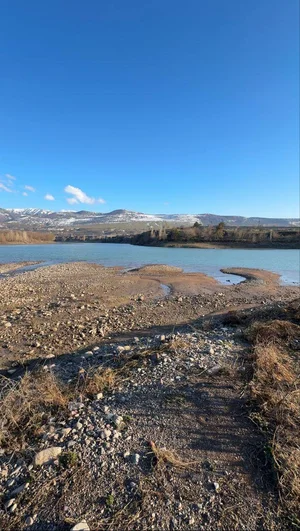 Фото 2 Участок в Бостанлыкском районе